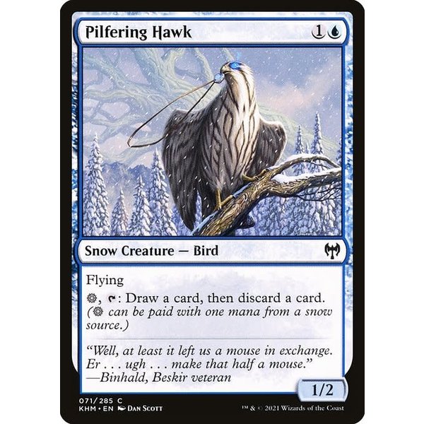 Magic: The Gathering Pilfering Hawk (071) Near Mint