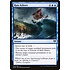 Magic: The Gathering Run Ashore (074) Near Mint