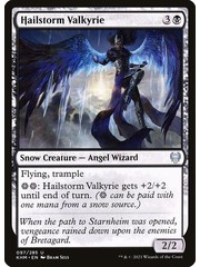 Magic: The Gathering Hailstorm Valkyrie (097) Near Mint