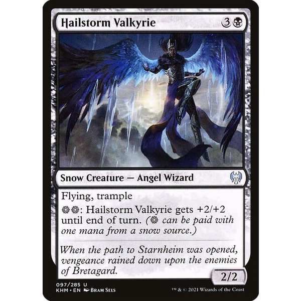Magic: The Gathering Hailstorm Valkyrie (097) Near Mint