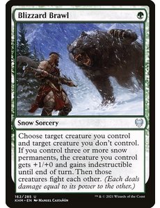Magic: The Gathering Blizzard Brawl (162) Near Mint