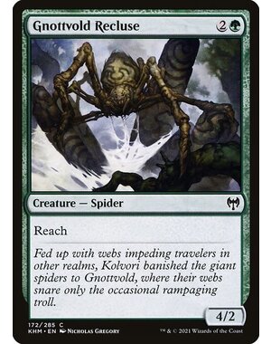 Magic: The Gathering Gnottvold Recluse (172) Near Mint