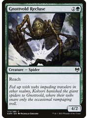 Magic: The Gathering Gnottvold Recluse (172) Near Mint Foil