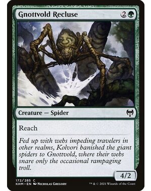 Magic: The Gathering Gnottvold Recluse (172) Near Mint Foil