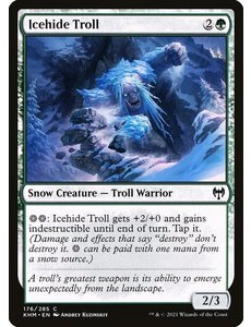 Magic: The Gathering Icehide Troll (176) Near Mint
