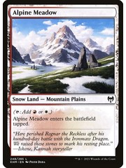 Magic: The Gathering Alpine Meadow (248) Lightly Played