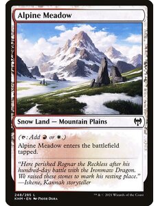 Magic: The Gathering Alpine Meadow (248) Lightly Played