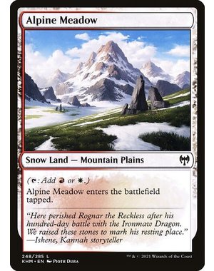 Magic: The Gathering Alpine Meadow (248) Lightly Played