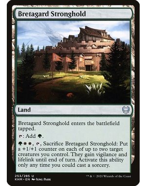 Magic: The Gathering Bretagard Stronghold (253) Near Mint