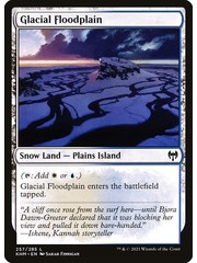 Magic: The Gathering Glacial Floodplain (257) Near Mint