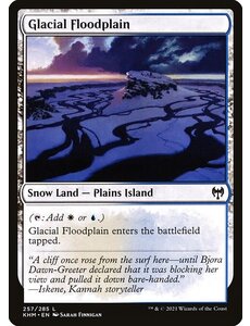 Magic: The Gathering Glacial Floodplain (257) Near Mint