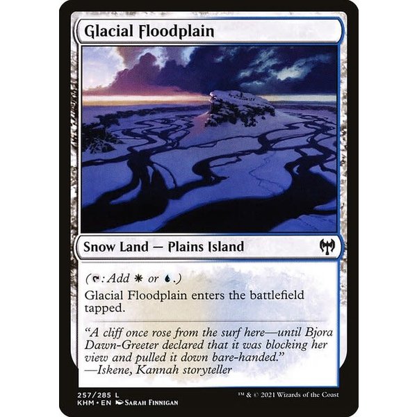Magic: The Gathering Glacial Floodplain (257) Near Mint