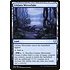 Magic: The Gathering Littjara Mirrorlake (264) Near Mint