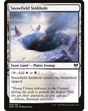 Magic: The Gathering Snowfield Sinkhole (269) Near Mint