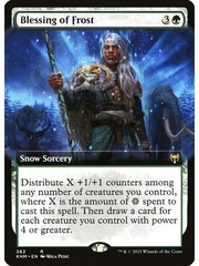 Magic: The Gathering Blessing of Frost (Extended Art) (362) Near Mint