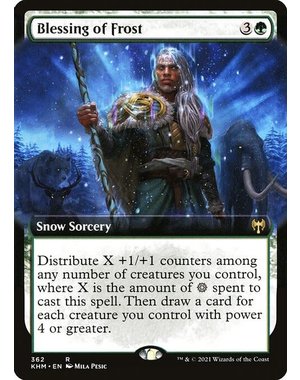 Magic: The Gathering Blessing of Frost (Extended Art) (362) Near Mint