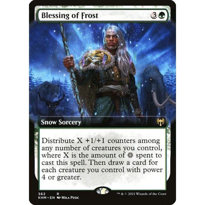 Magic: The Gathering Blessing of Frost (Extended Art) (362) Near Mint