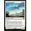 Magic: The Gathering Aetherstorm Roc (003) Near Mint