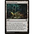 Magic: The Gathering Sequestered Stash (248) Near Mint