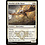 Magic: The Gathering Watcher of the Roost (030) Lightly Played