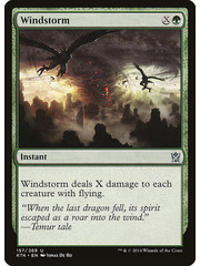 Magic: The Gathering Windstorm (157) Near Mint