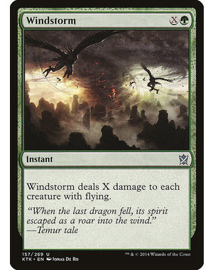 Magic: The Gathering Windstorm (157) Near Mint
