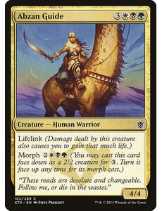 Magic: The Gathering Abzan Guide (162) Lightly Played