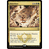 Magic: The Gathering Duneblast (174) Lightly Played