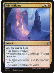 Magic: The Gathering Winterflame (213) Near Mint