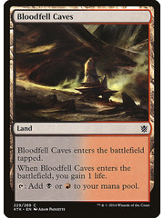 Magic: The Gathering Bloodfell Caves (229) Lightly Played