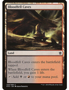 Magic: The Gathering Bloodfell Caves (229) Lightly Played