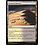 Magic: The Gathering Scoured Barrens (242) Lightly Played