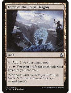 Magic: The Gathering Tomb of the Spirit Dragon (245) Near Mint