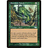 Magic: The Gathering Enormous Baloth (125) Lightly Played