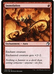 Magic: The Gathering Immolation (144) Near Mint Foil
