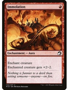 Magic: The Gathering Immolation (144) Near Mint Foil