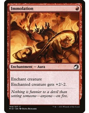 Magic: The Gathering Immolation (144) Near Mint Foil
