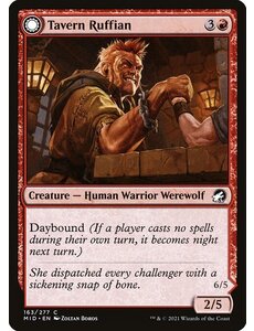 Magic: The Gathering Tavern Ruffian (163) Lightly Played