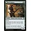 Magic: The Gathering Bird Admirer (169) Near Mint Foil