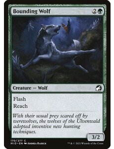 Magic: The Gathering Bounding Wolf (170) Near Mint