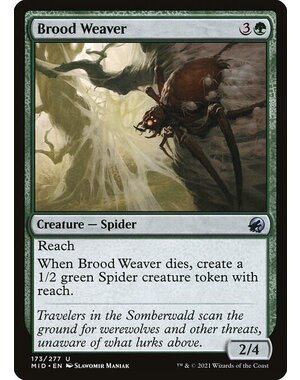 Magic: The Gathering Brood Weaver (173) Lightly Played