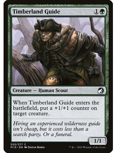 Magic: The Gathering Timberland Guide (202) Lightly Played