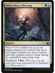 Magic: The Gathering Winterthorn Blessing (251) Near Mint