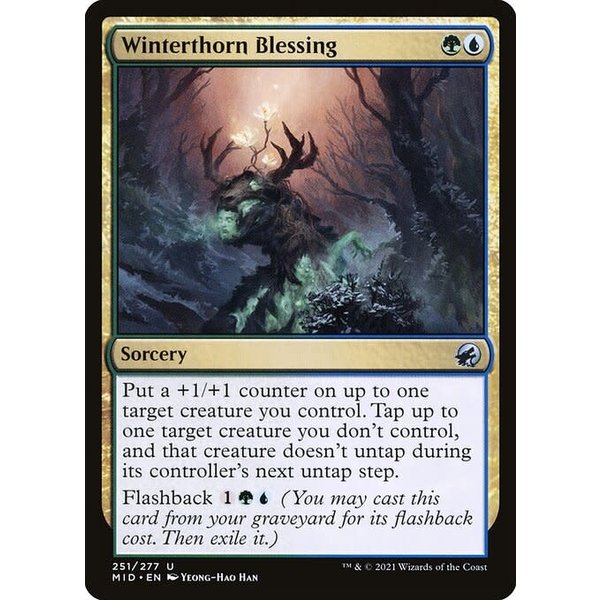Magic: The Gathering Winterthorn Blessing (251) Near Mint