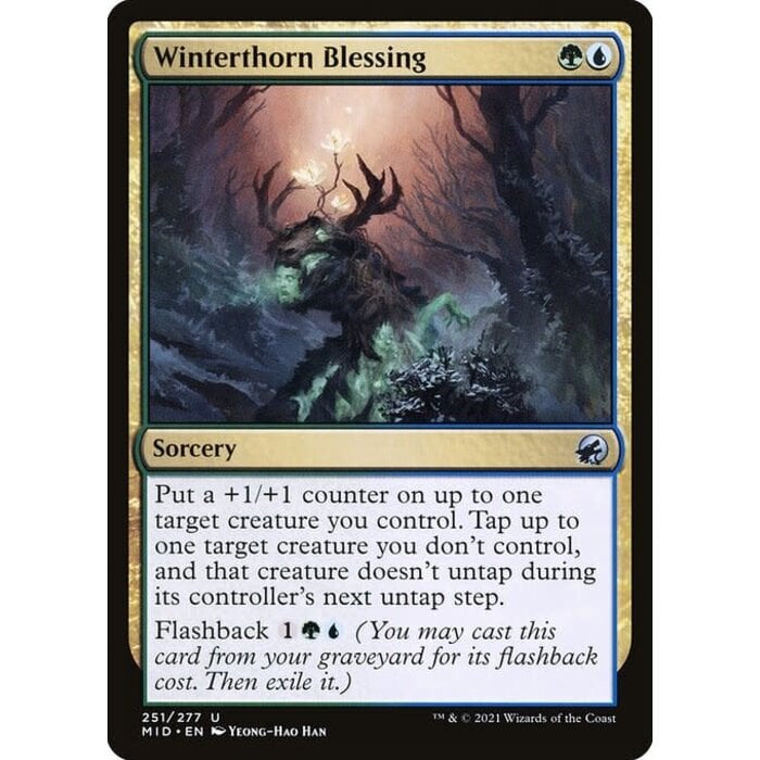 Magic: The Gathering Winterthorn Blessing (251) Near Mint