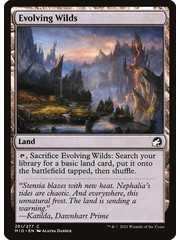 Magic: The Gathering Evolving Wilds (261) Near Mint Foil