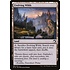 Magic: The Gathering Evolving Wilds (261) Near Mint Foil