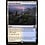 Magic: The Gathering Deserted Beach (260) Lightly Played