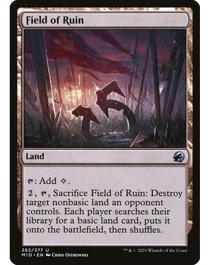 Magic: The Gathering Field of Ruin (262) Lightly Played