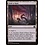 Magic: The Gathering Field of Ruin (262) Lightly Played